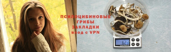 гашик Михайлов