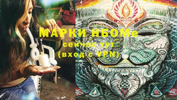 гашик Михайлов