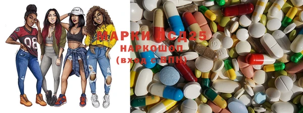 гашик Михайлов